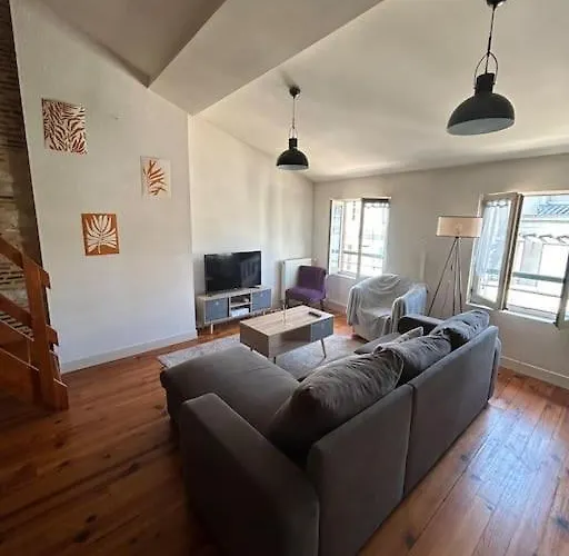 Appartement Au Coeur De Perigueux